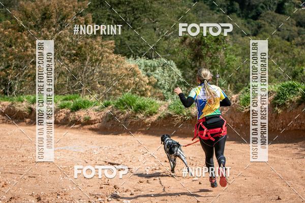 Achetez vos photos de l'vnementTreino Premiado de Canicross sur Fotop