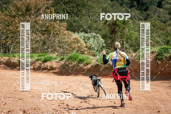 Achetez vos photos de l'vnementTreino Premiado de Canicross sur Fotop