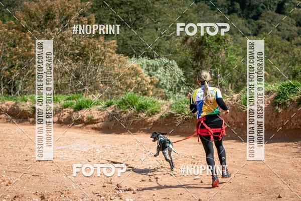 Achetez vos photos de l'vnementTreino Premiado de Canicross sur Fotop