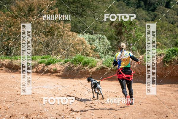 Achetez vos photos de l'vnementTreino Premiado de Canicross sur Fotop