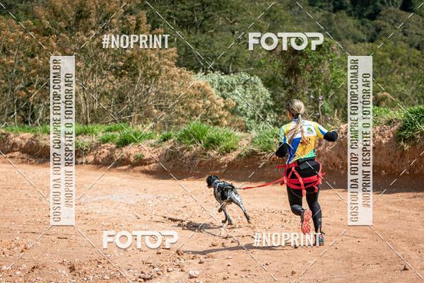 Achetez vos photos de l'vnementTreino Premiado de Canicross sur Fotop