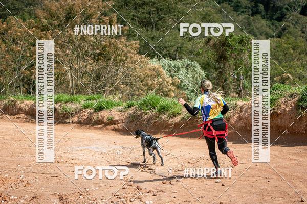 Achetez vos photos de l'vnementTreino Premiado de Canicross sur Fotop