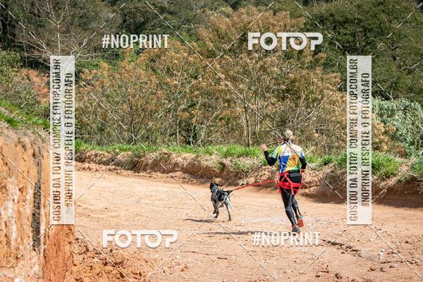 Achetez vos photos de l'vnementTreino Premiado de Canicross sur Fotop