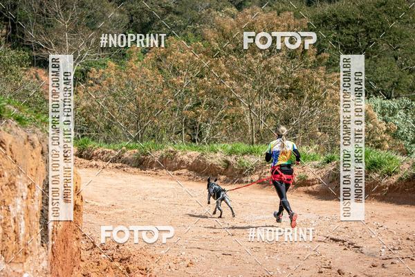 Achetez vos photos de l'vnementTreino Premiado de Canicross sur Fotop