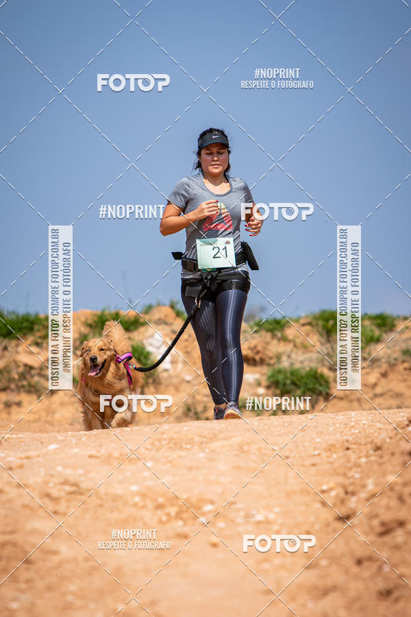 Achetez vos photos de l'vnementTreino Premiado de Canicross sur Fotop