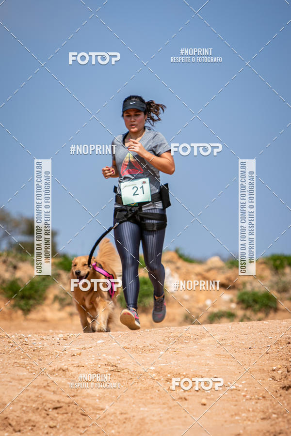 Achetez vos photos de l'vnementTreino Premiado de Canicross sur Fotop