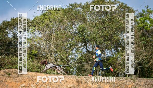 Compra tus fotos del eventoTreino Premiado de Canicross En Fotop