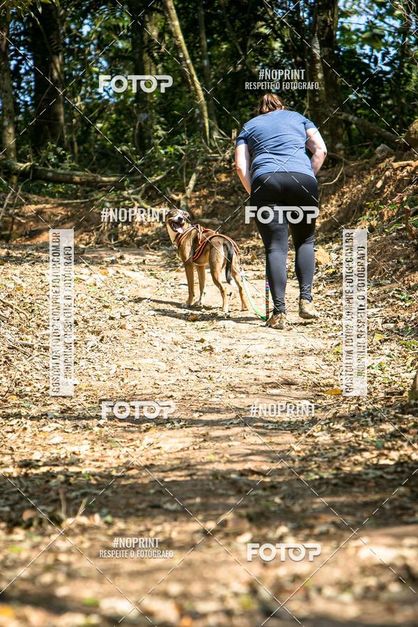 Compra tus fotos del eventoTreino Premiado de Canicross En Fotop