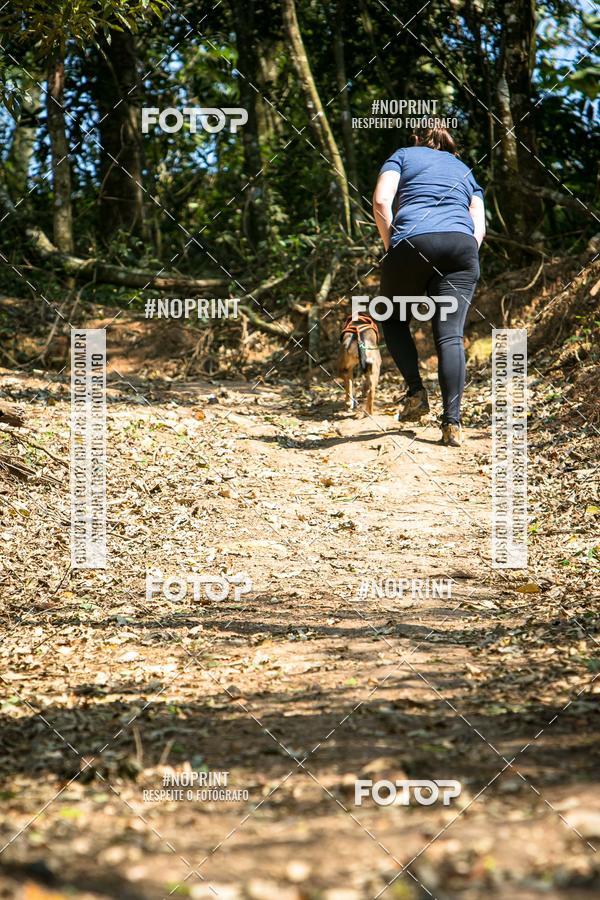 Compra tus fotos del eventoTreino Premiado de Canicross En Fotop