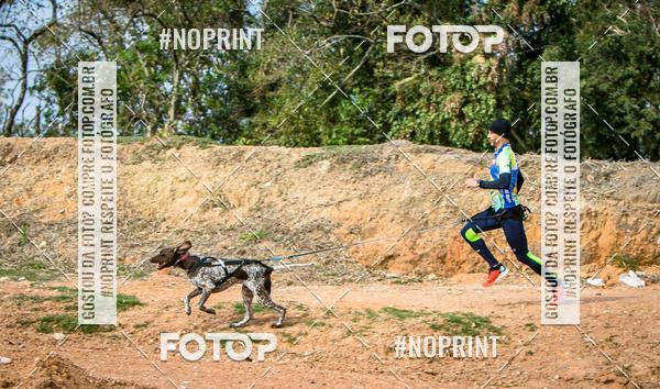 Compra tus fotos del eventoTreino Premiado de Canicross En Fotop