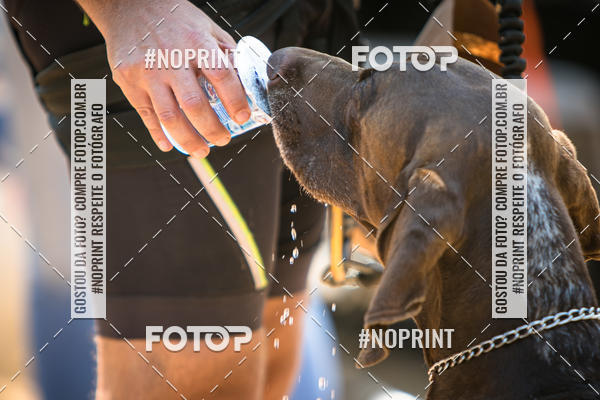 Achetez vos photos de l'vnementTreino Premiado de Canicross sur Fotop