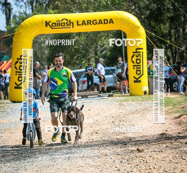 Achetez vos photos de l'vnementTreino Premiado de Canicross sur Fotop