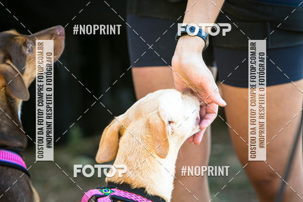 Achetez vos photos de l'vnementTreino Premiado de Canicross sur Fotop