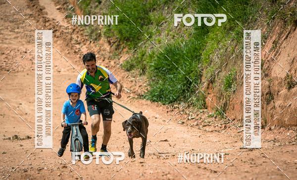 Achetez vos photos de l'vnementTreino Premiado de Canicross sur Fotop