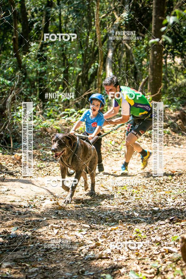 Achetez vos photos de l'vnementTreino Premiado de Canicross sur Fotop