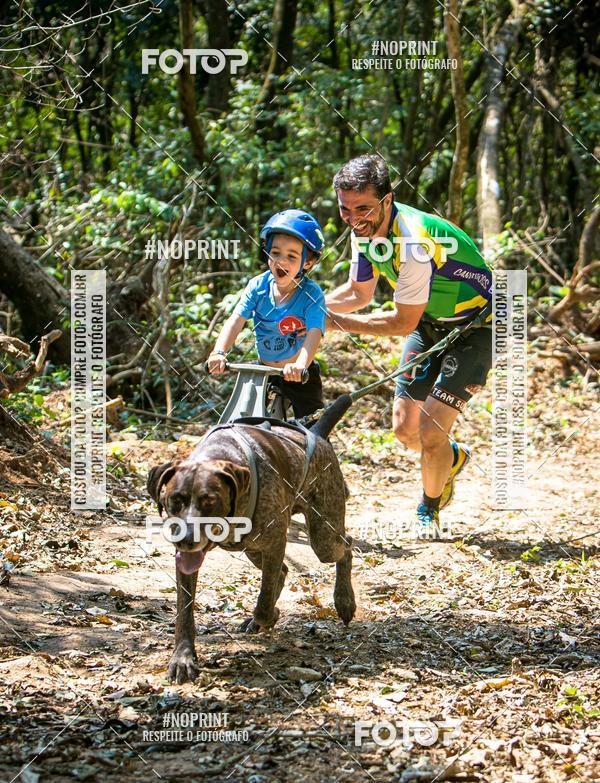 Achetez vos photos de l'vnementTreino Premiado de Canicross sur Fotop
