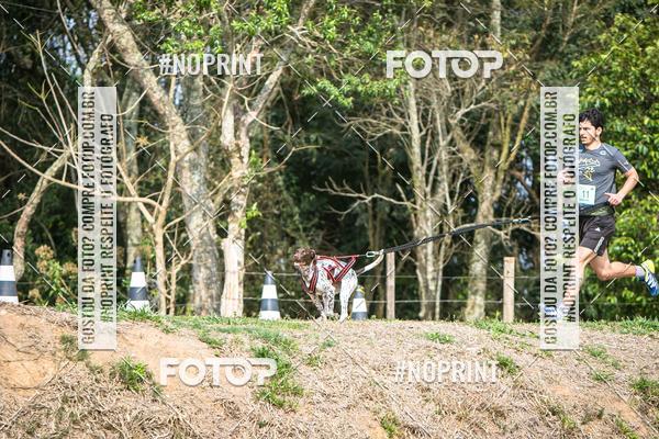 Compra tus fotos del eventoTreino Premiado de Canicross En Fotop