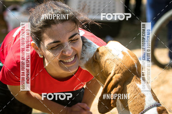 Achetez vos photos de l'vnementTreino Premiado de Canicross sur Fotop