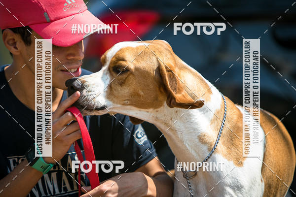 Achetez vos photos de l'vnementTreino Premiado de Canicross sur Fotop