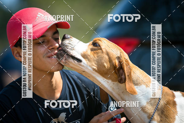 Achetez vos photos de l'vnementTreino Premiado de Canicross sur Fotop