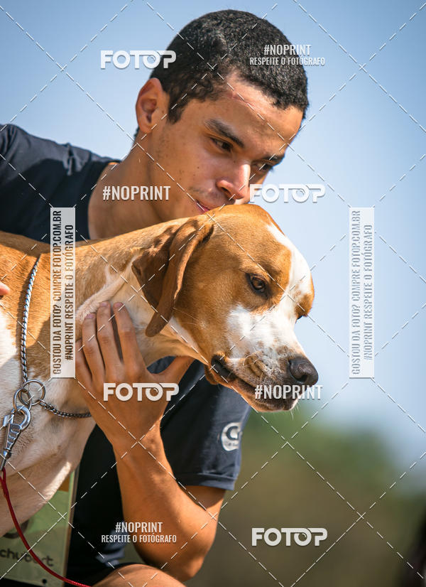 Achetez vos photos de l'vnementTreino Premiado de Canicross sur Fotop