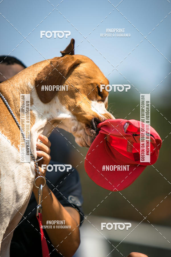 Achetez vos photos de l'vnementTreino Premiado de Canicross sur Fotop