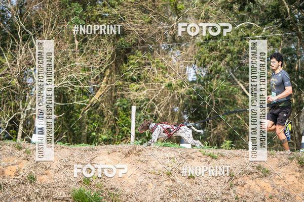 Compra tus fotos del eventoTreino Premiado de Canicross En Fotop