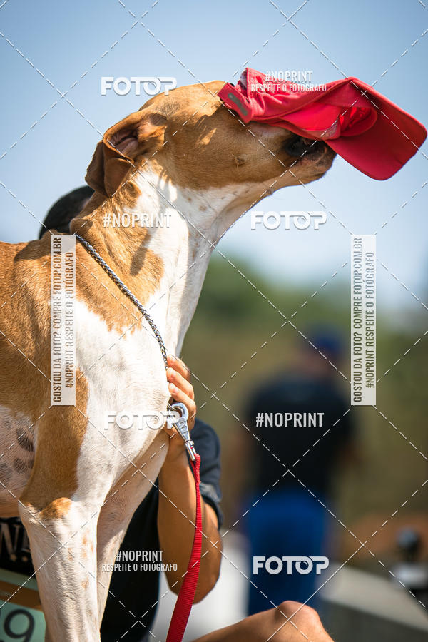 Compre as suas fotos do eventoTreino Premiado de Canicross no Fotop