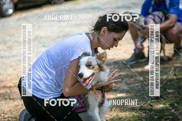 Compre as suas fotos do eventoTreino Premiado de Canicross no Fotop