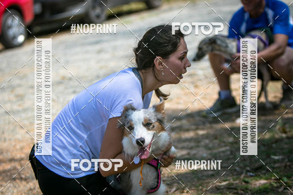 Compre as suas fotos do eventoTreino Premiado de Canicross no Fotop