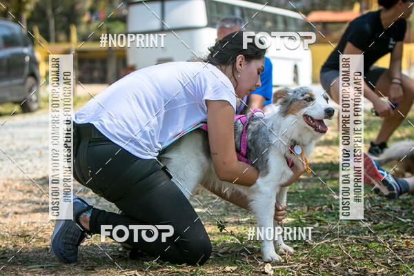 Compre as suas fotos do eventoTreino Premiado de Canicross no Fotop