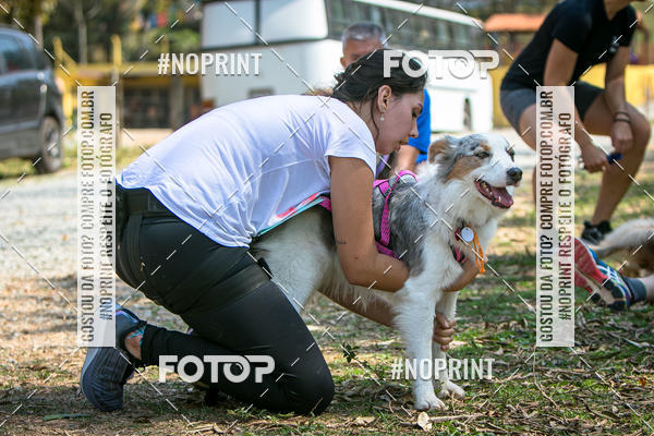 Compre as suas fotos do eventoTreino Premiado de Canicross no Fotop