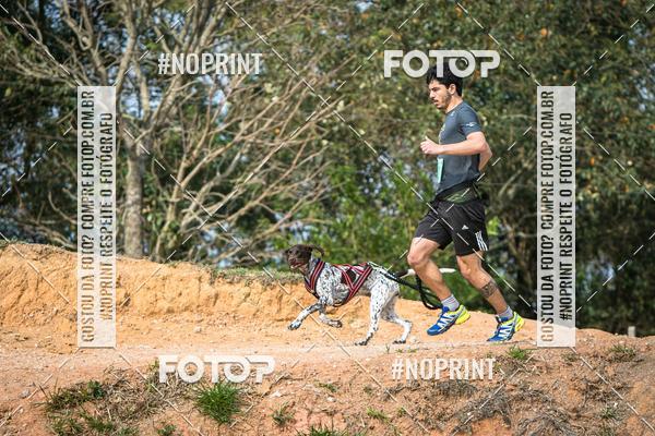 Compra tus fotos del eventoTreino Premiado de Canicross En Fotop