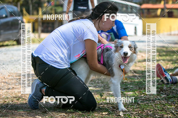 Compre as suas fotos do eventoTreino Premiado de Canicross no Fotop