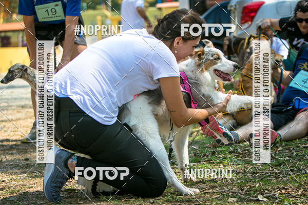 Compre as suas fotos do eventoTreino Premiado de Canicross no Fotop