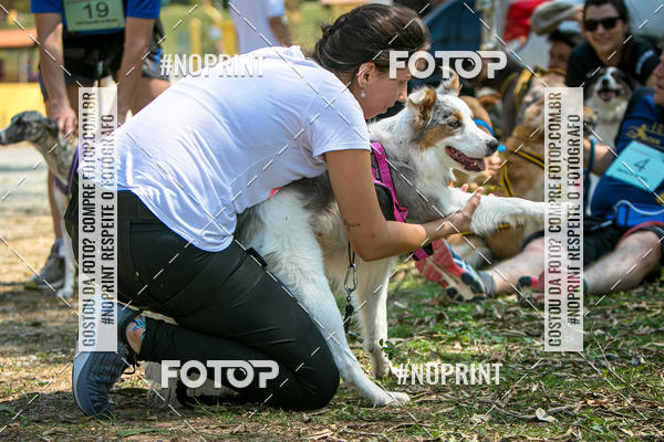 Compre as suas fotos do eventoTreino Premiado de Canicross no Fotop