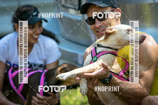 Compre as suas fotos do eventoTreino Premiado de Canicross no Fotop