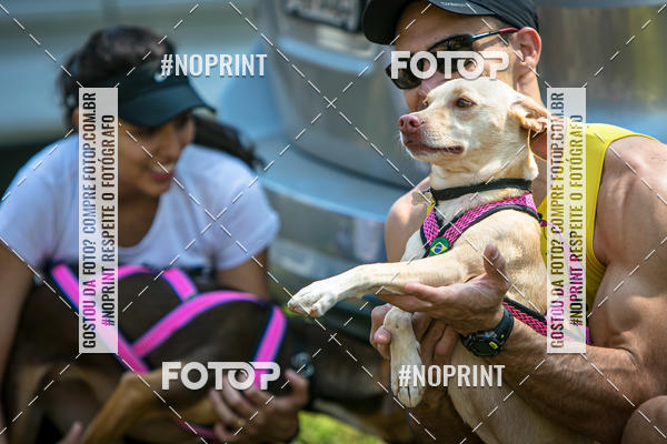 Compre as suas fotos do eventoTreino Premiado de Canicross no Fotop