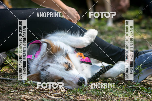 Compre as suas fotos do eventoTreino Premiado de Canicross no Fotop