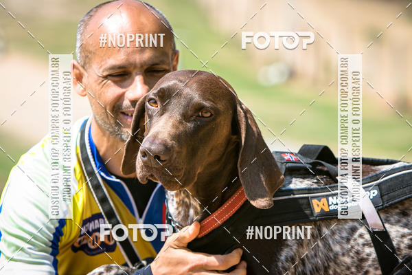 Compra tus fotos del eventoTreino Premiado de Canicross En Fotop