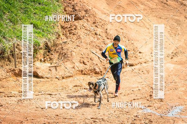 Compra tus fotos del eventoTreino Premiado de Canicross En Fotop