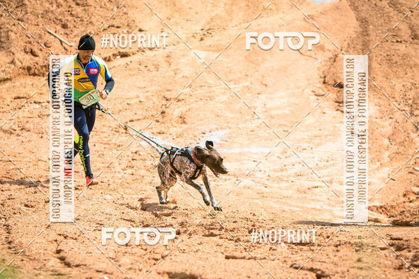 Compra tus fotos del eventoTreino Premiado de Canicross En Fotop