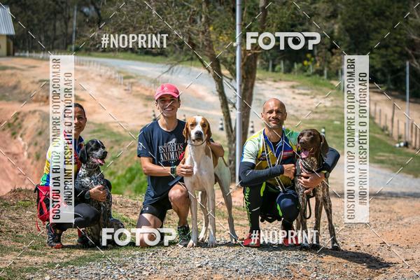Compra tus fotos del eventoTreino Premiado de Canicross En Fotop