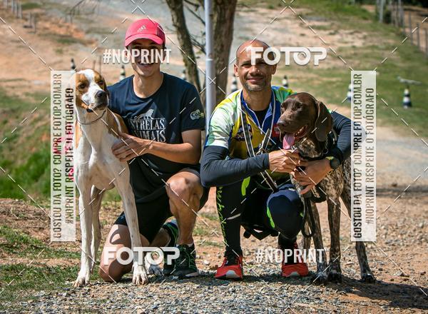 Compra tus fotos del eventoTreino Premiado de Canicross En Fotop