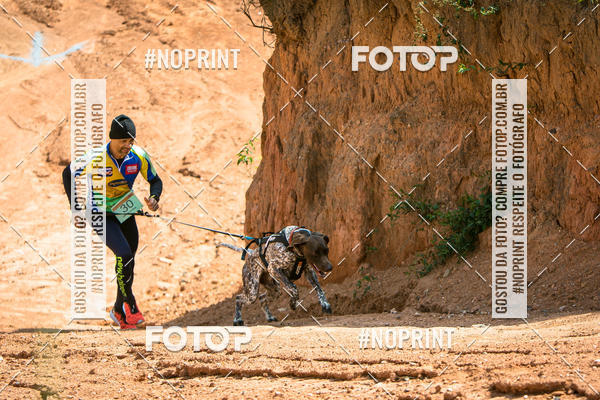 Compra tus fotos del eventoTreino Premiado de Canicross En Fotop