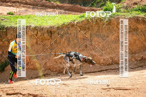 Compra tus fotos del eventoTreino Premiado de Canicross En Fotop