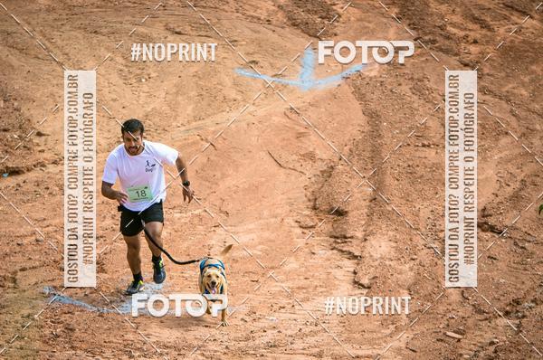 Achetez vos photos de l'vnementTreino Premiado de Canicross sur Fotop