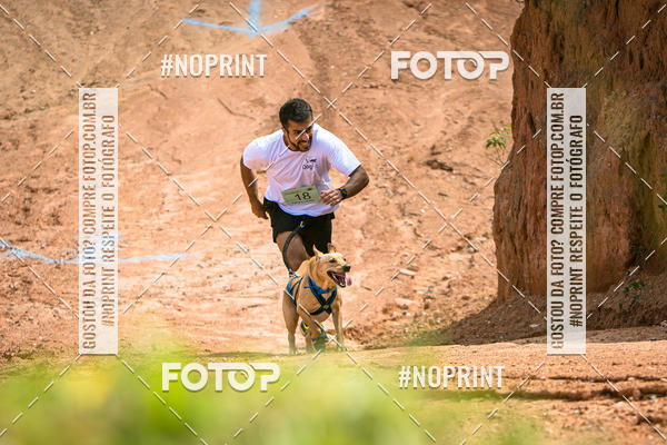Achetez vos photos de l'vnementTreino Premiado de Canicross sur Fotop