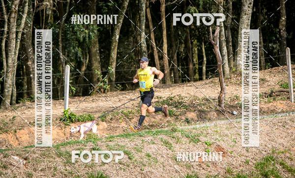 Achetez vos photos de l'vnementTreino Premiado de Canicross sur Fotop