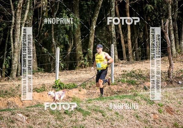 Achetez vos photos de l'vnementTreino Premiado de Canicross sur Fotop